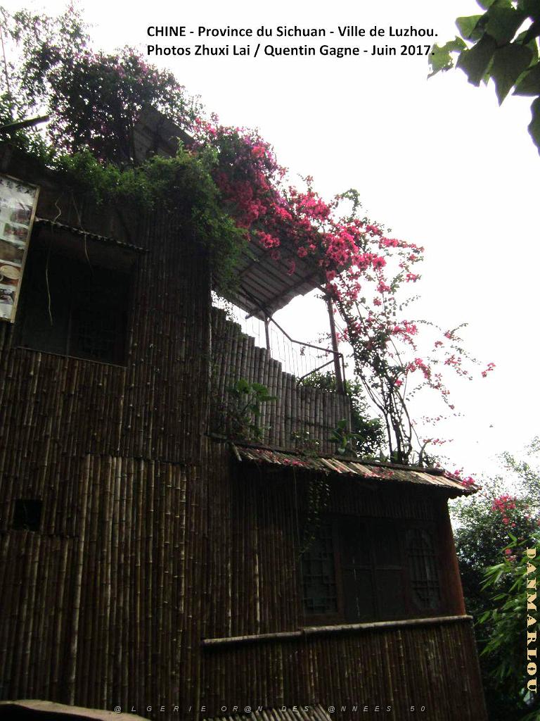 Luzhou juin 2017 - 044.JPG